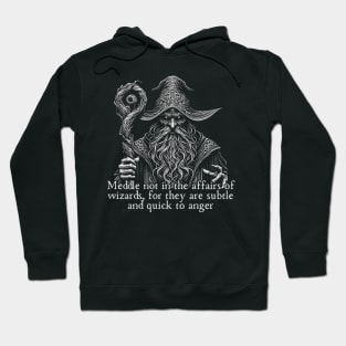 Wizard Hoodie